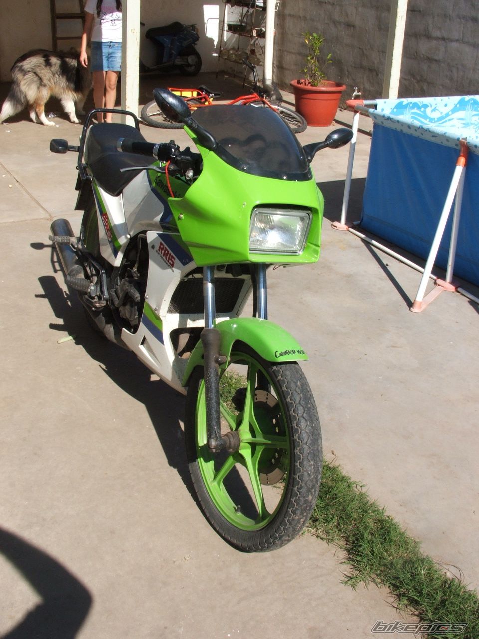 Photo 943396