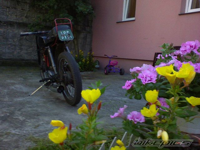 Photo 943594