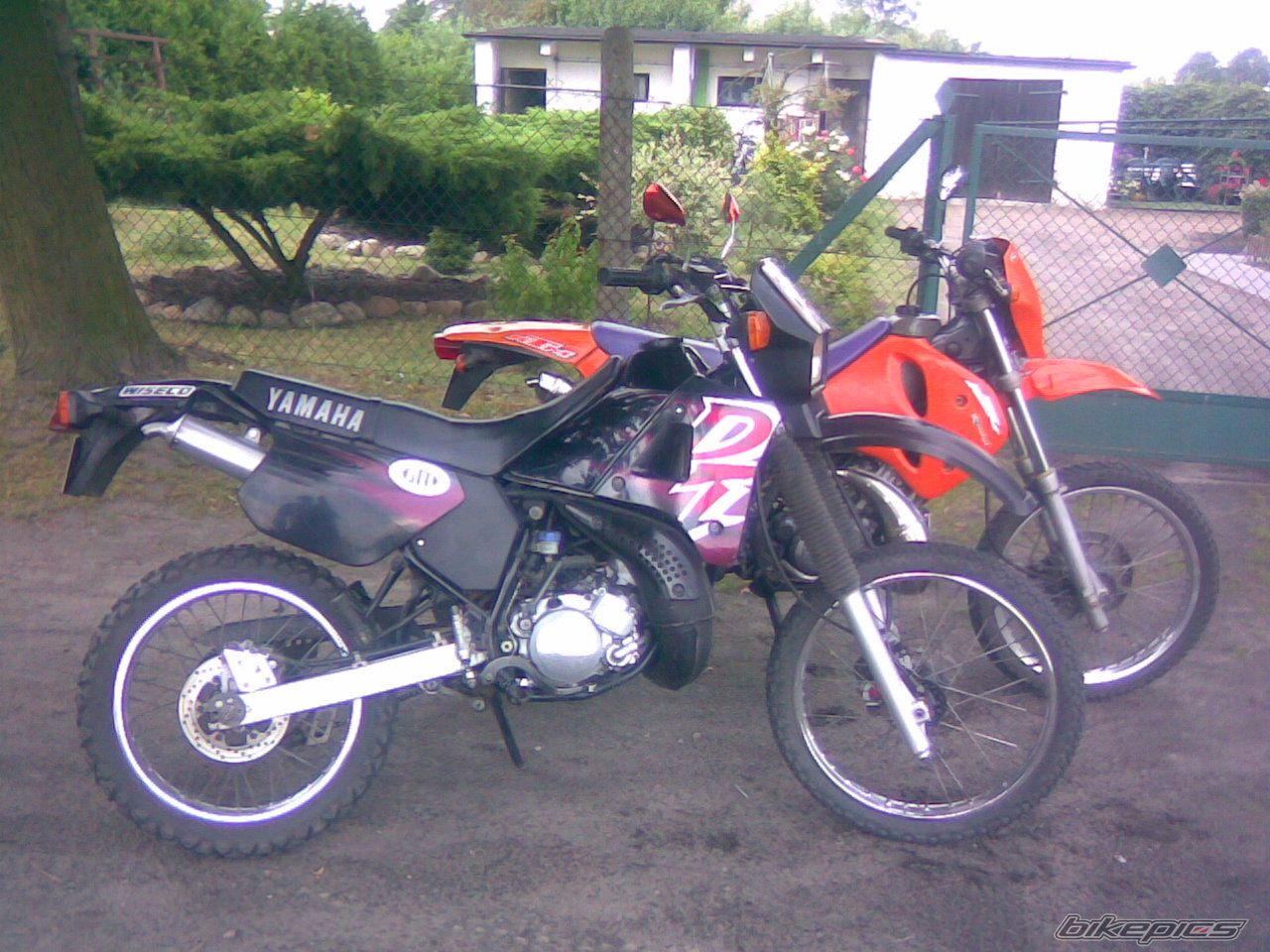 Photo 943621