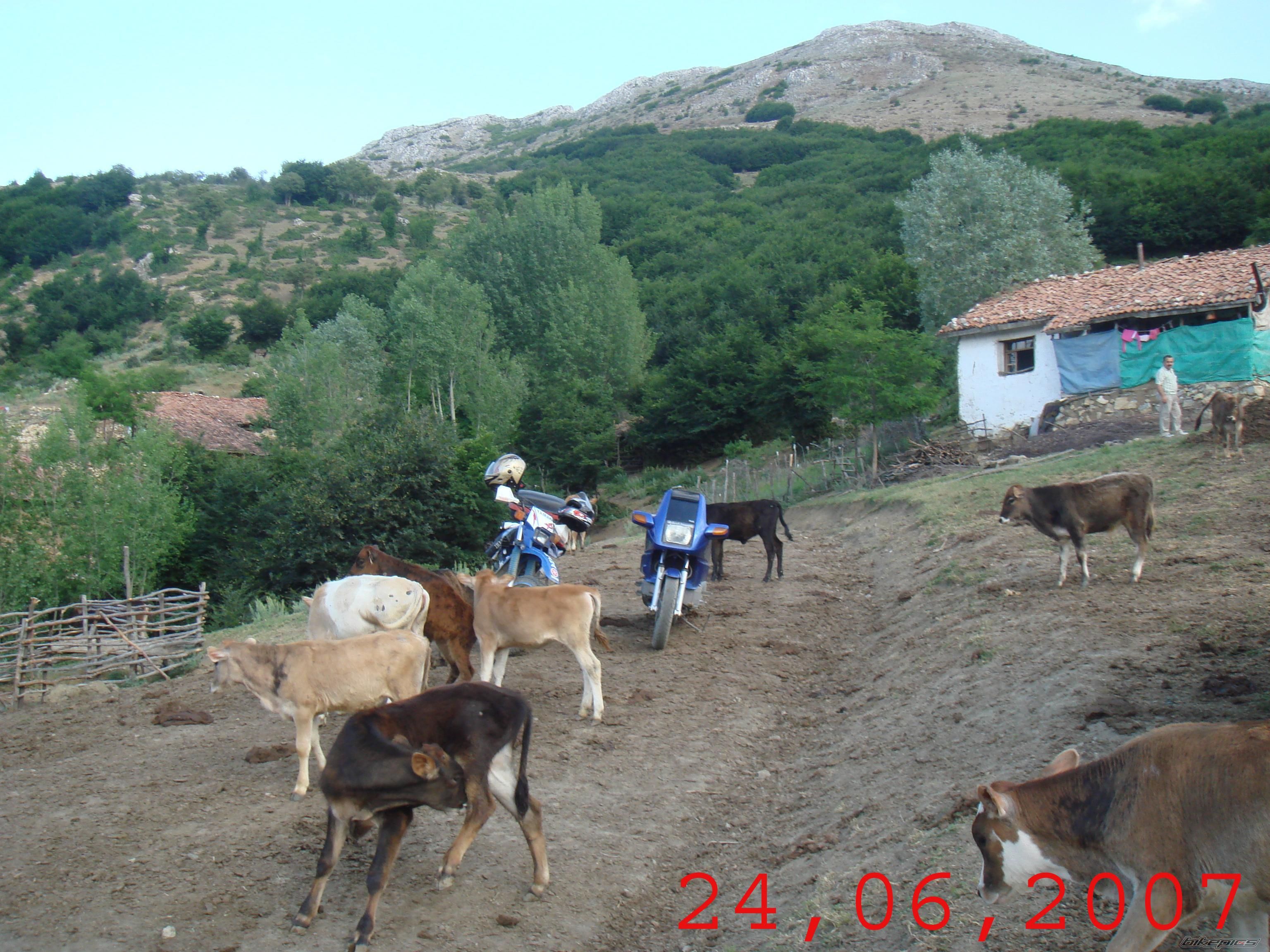 Photo 943756