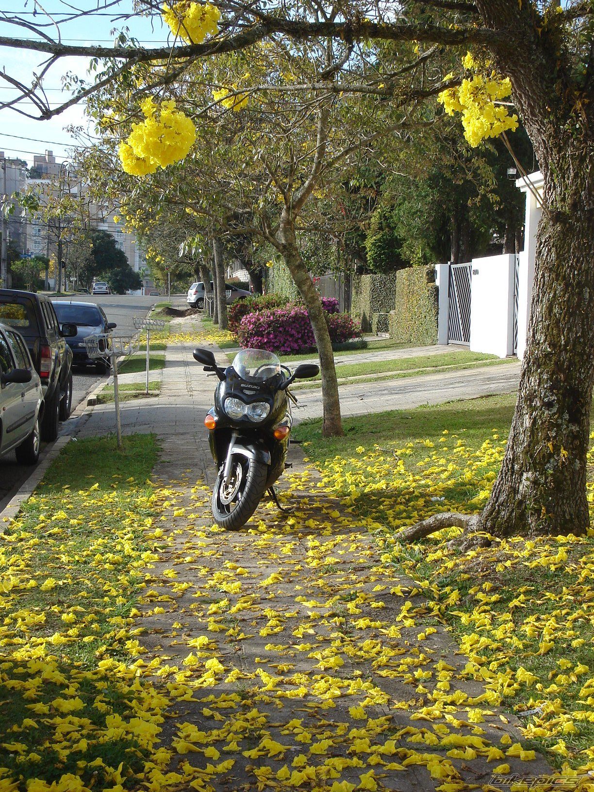 Bike Photo 944226