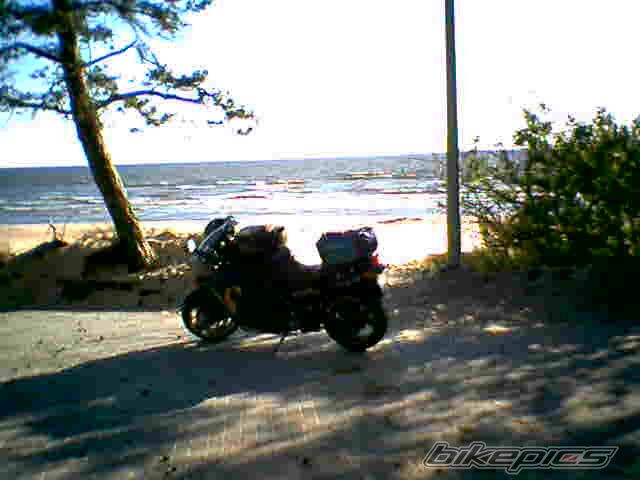Photo 944345