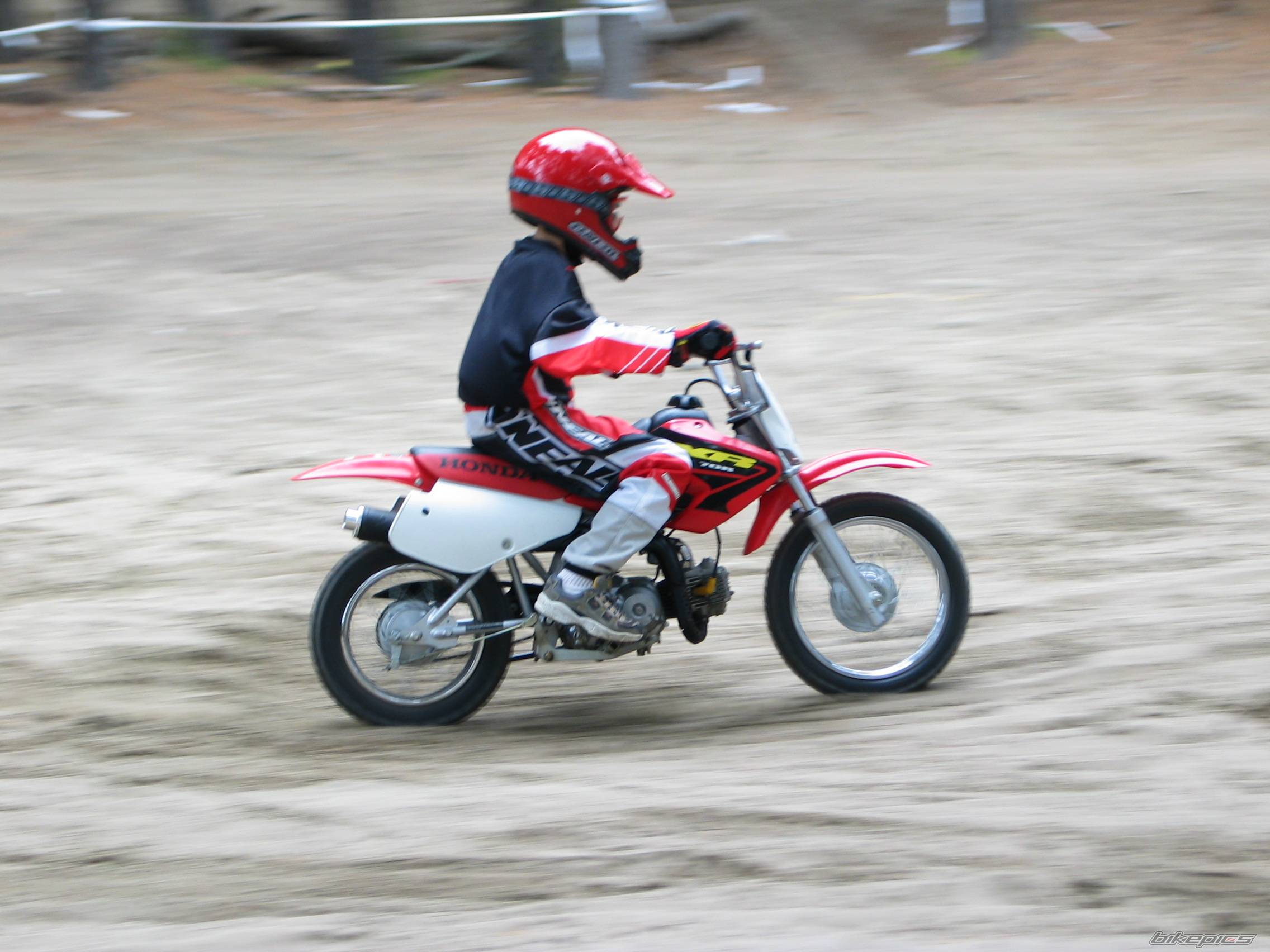 Photo 94445