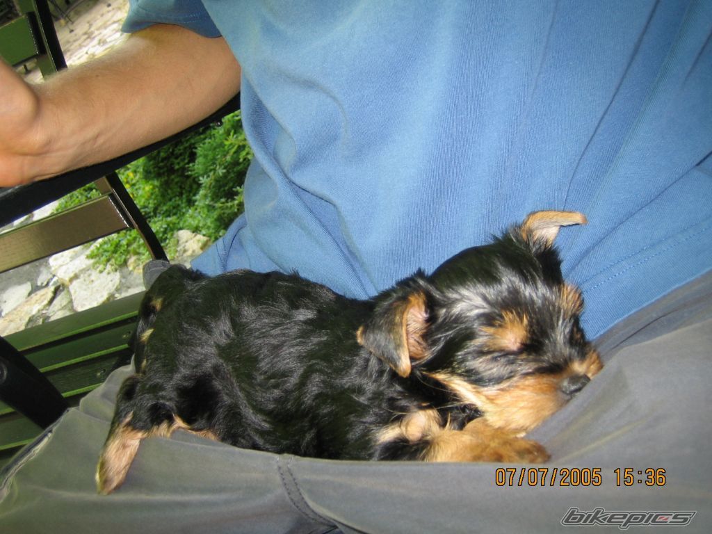 Photo 944610