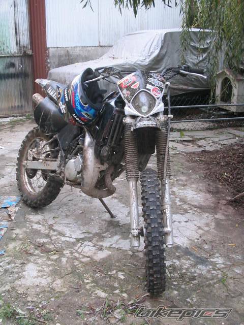 Photo 94492