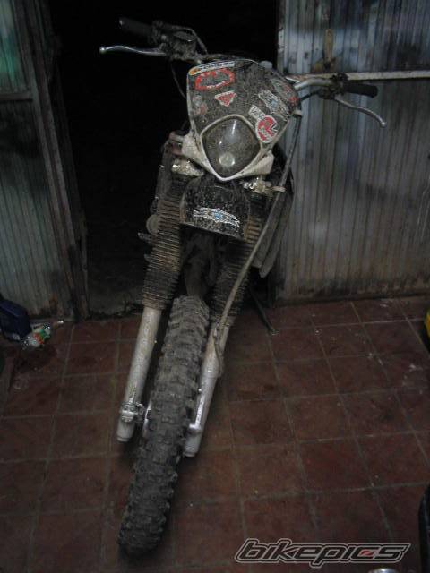 Photo 94493