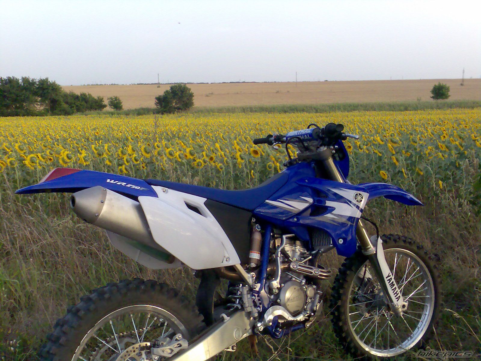 Photo 945463