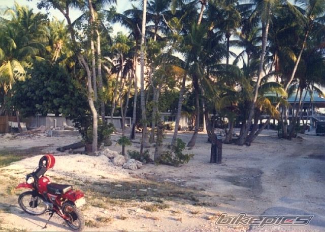Photo 945467