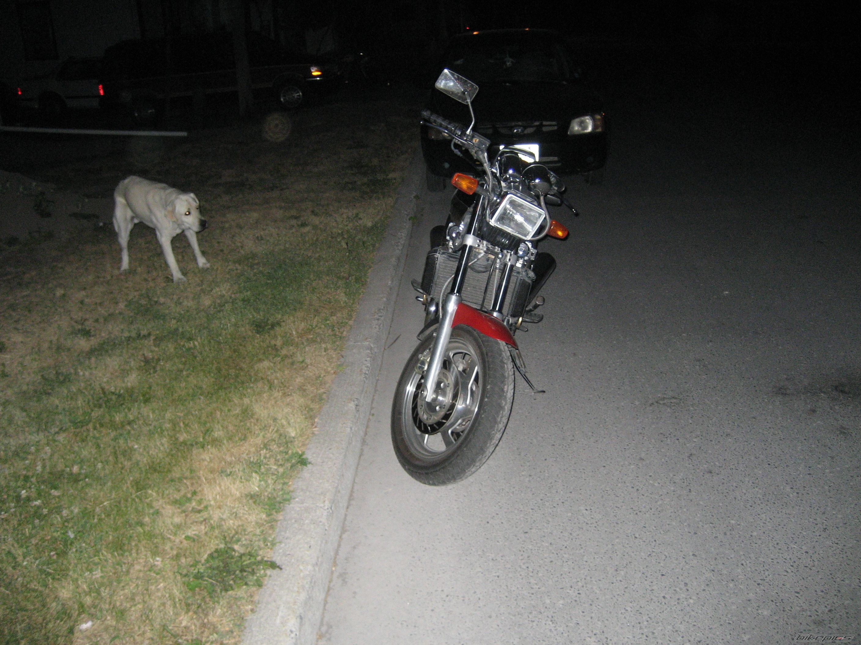 Photo 945822