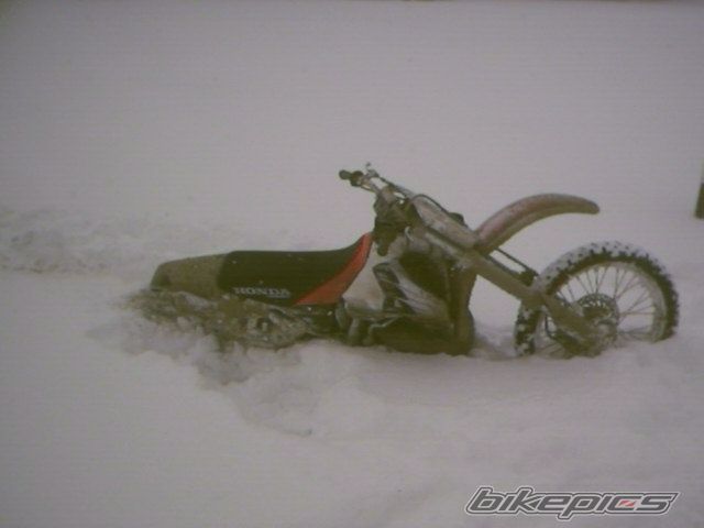Photo 945961