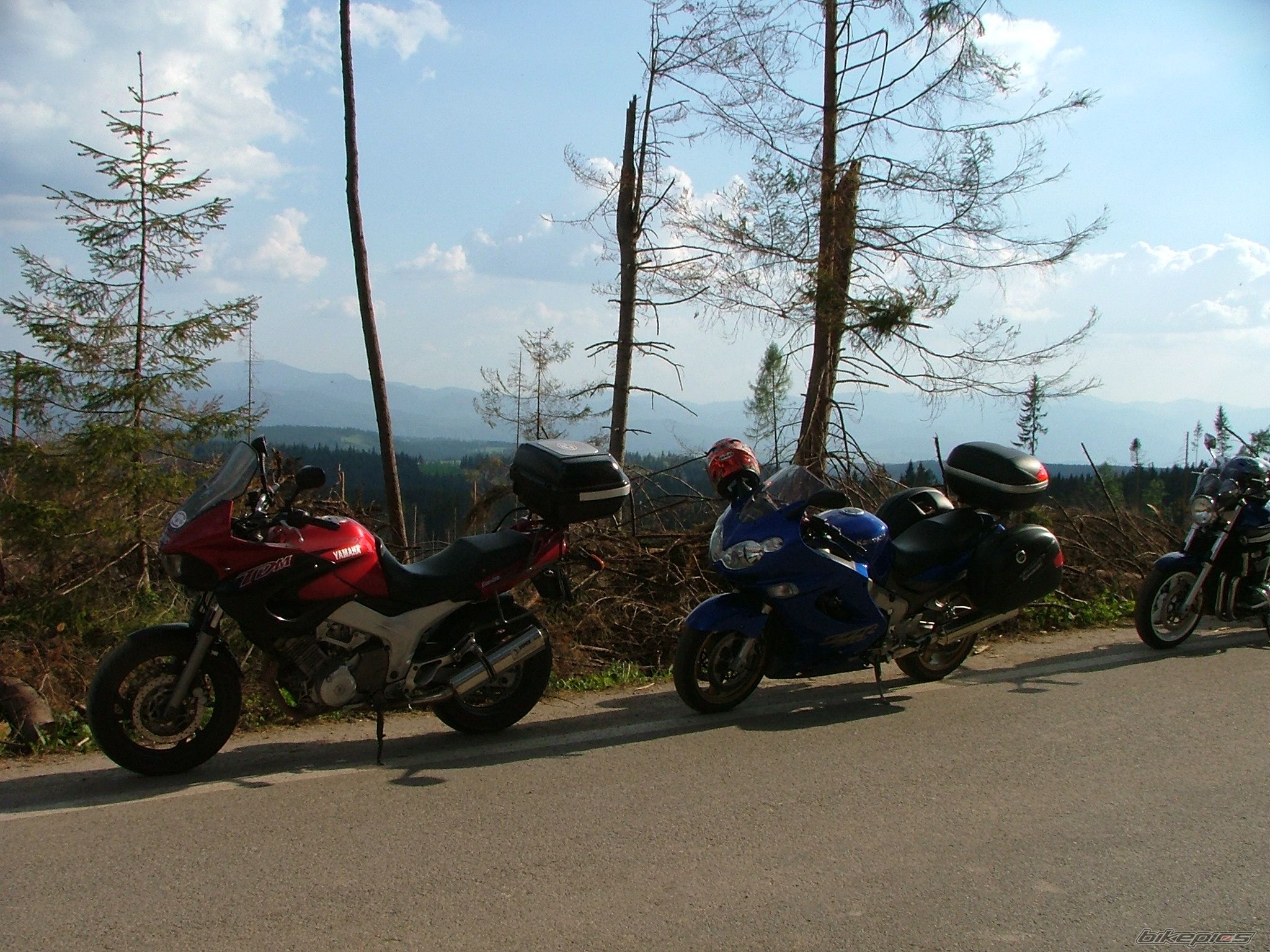 Photo 946094