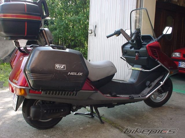 Photo 946222