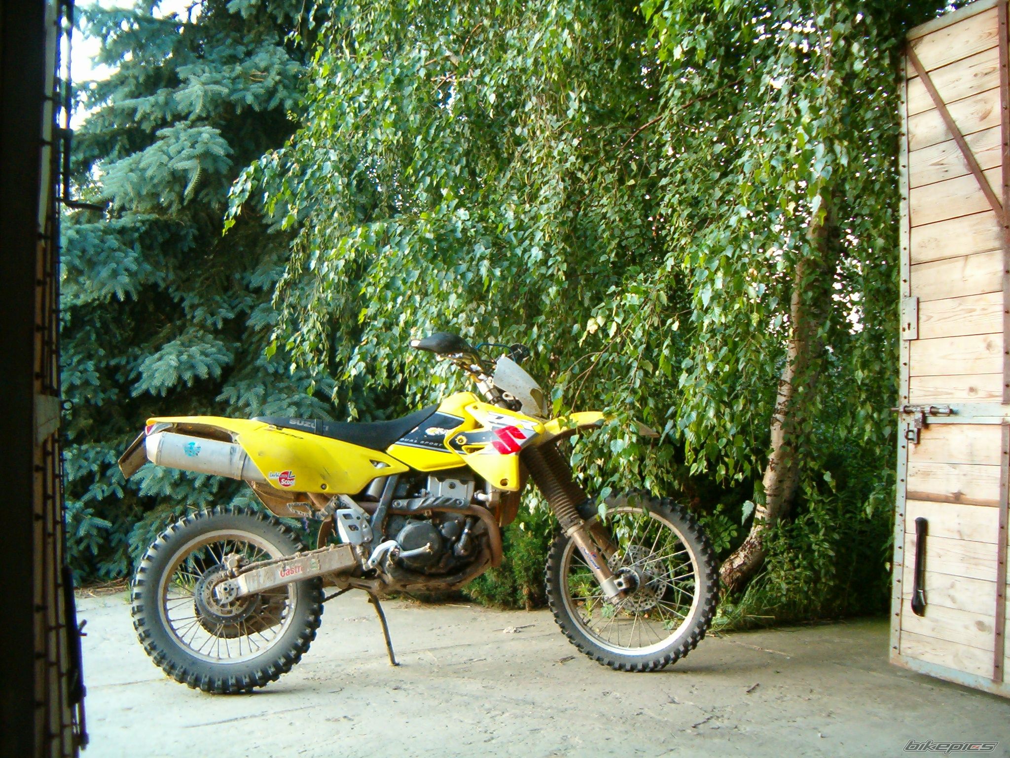 Photo 946423