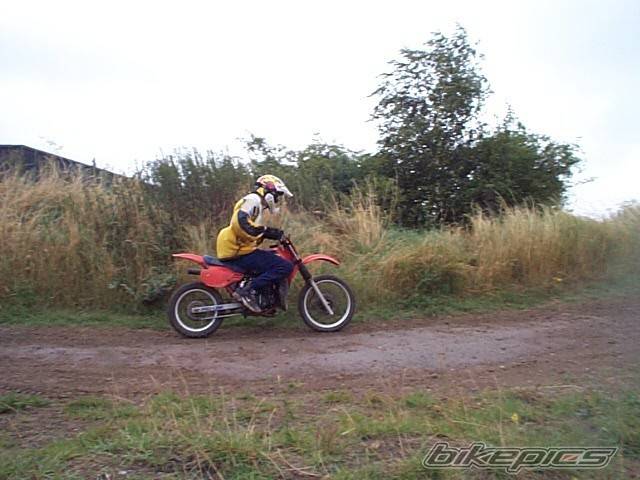 Bike Photo 9469