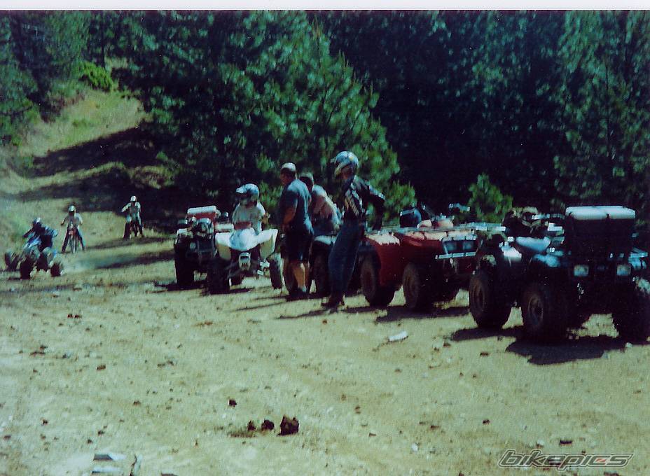 Photo 94715