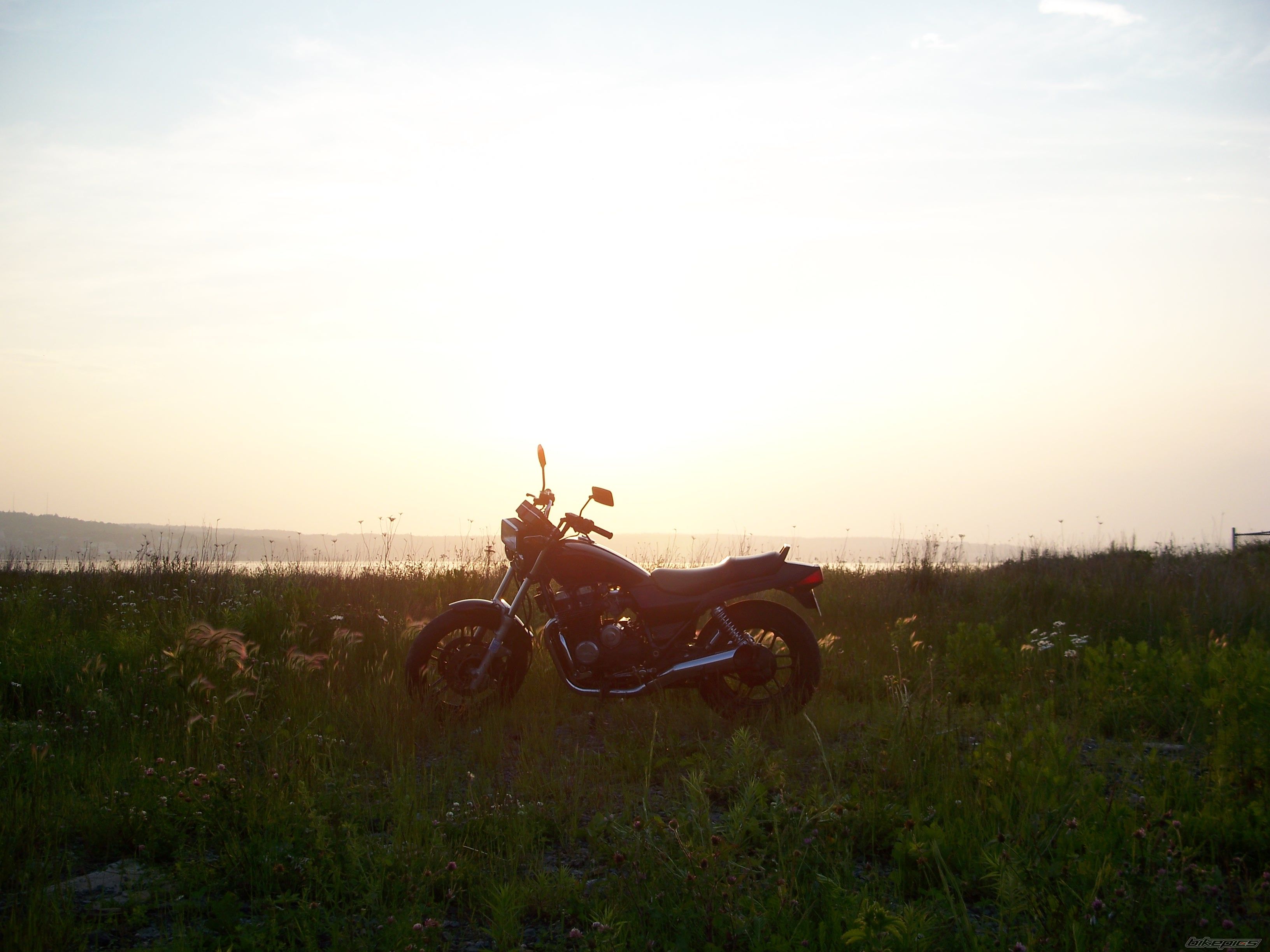 Photo 947332