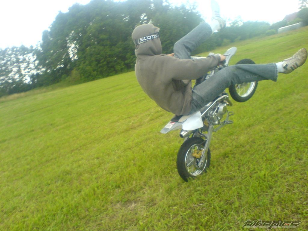 Photo 947430