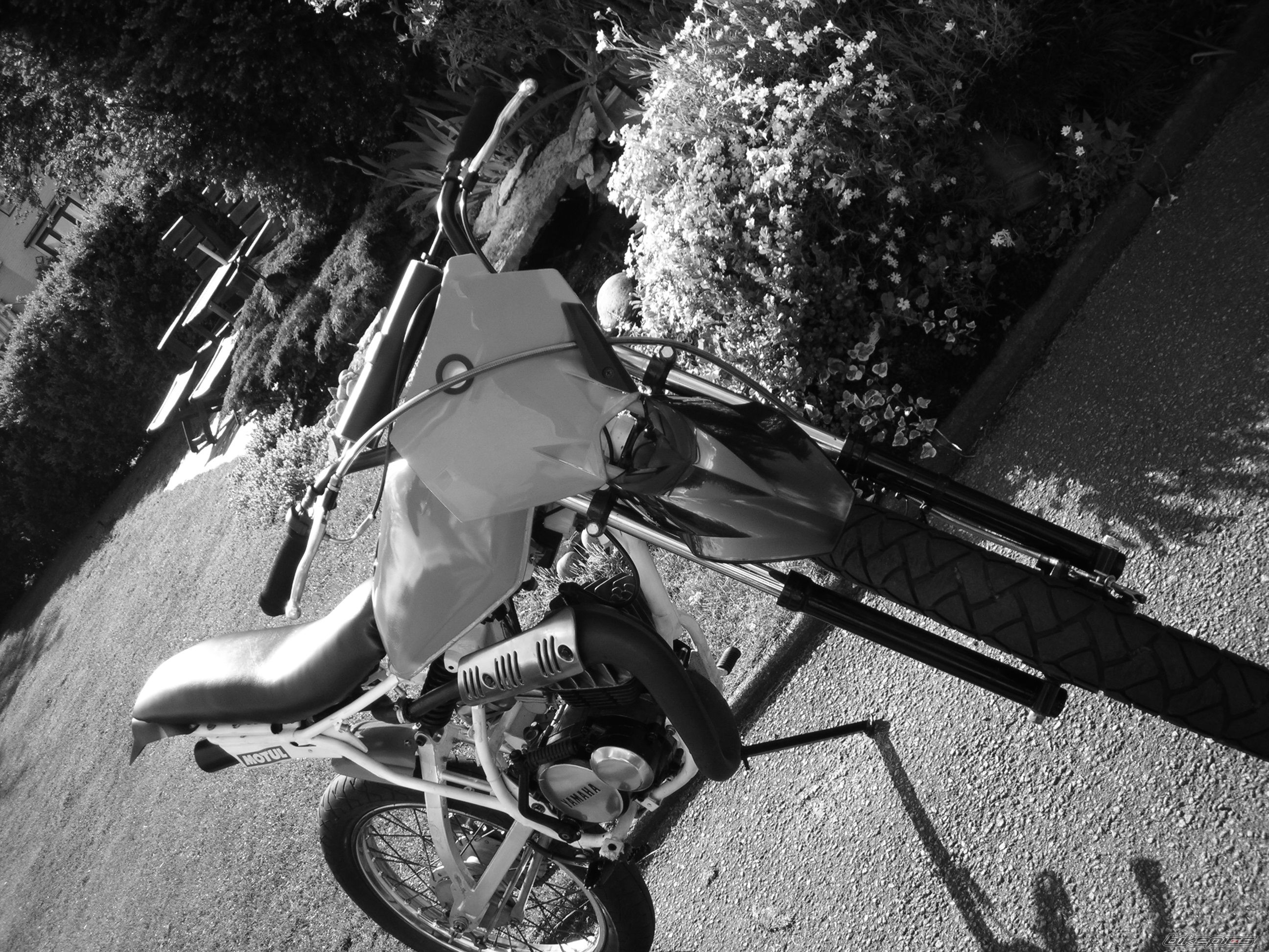 Bike Photo 947963