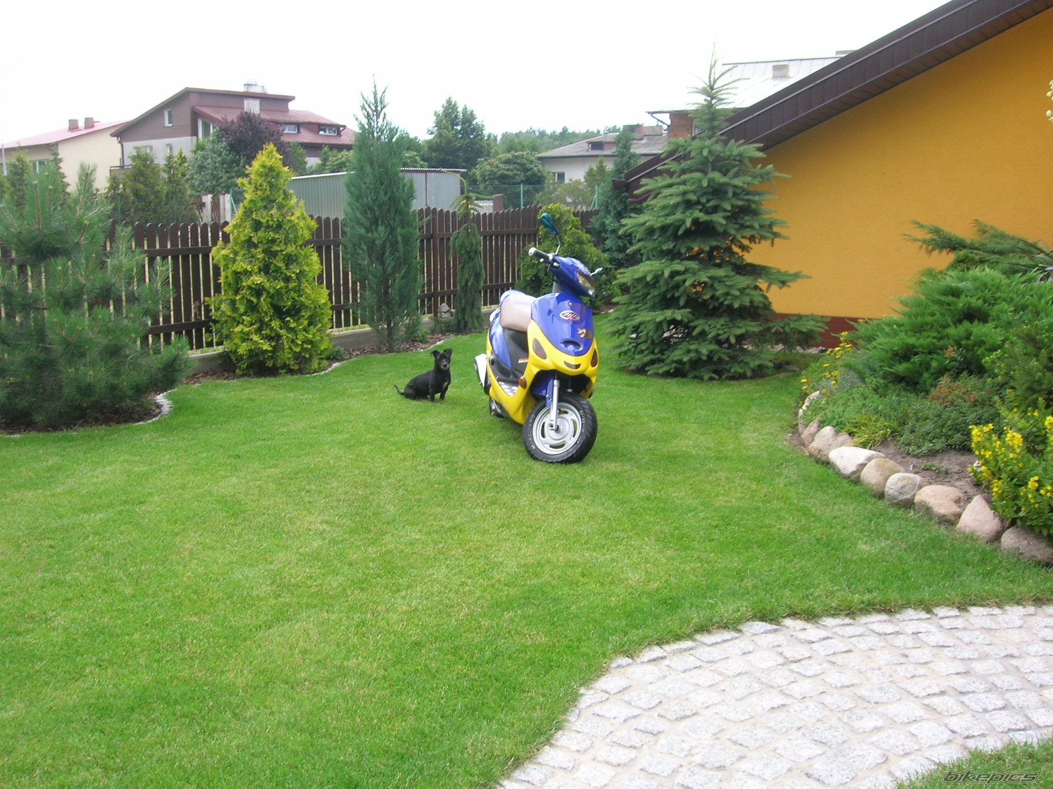 Bike Photo 948029