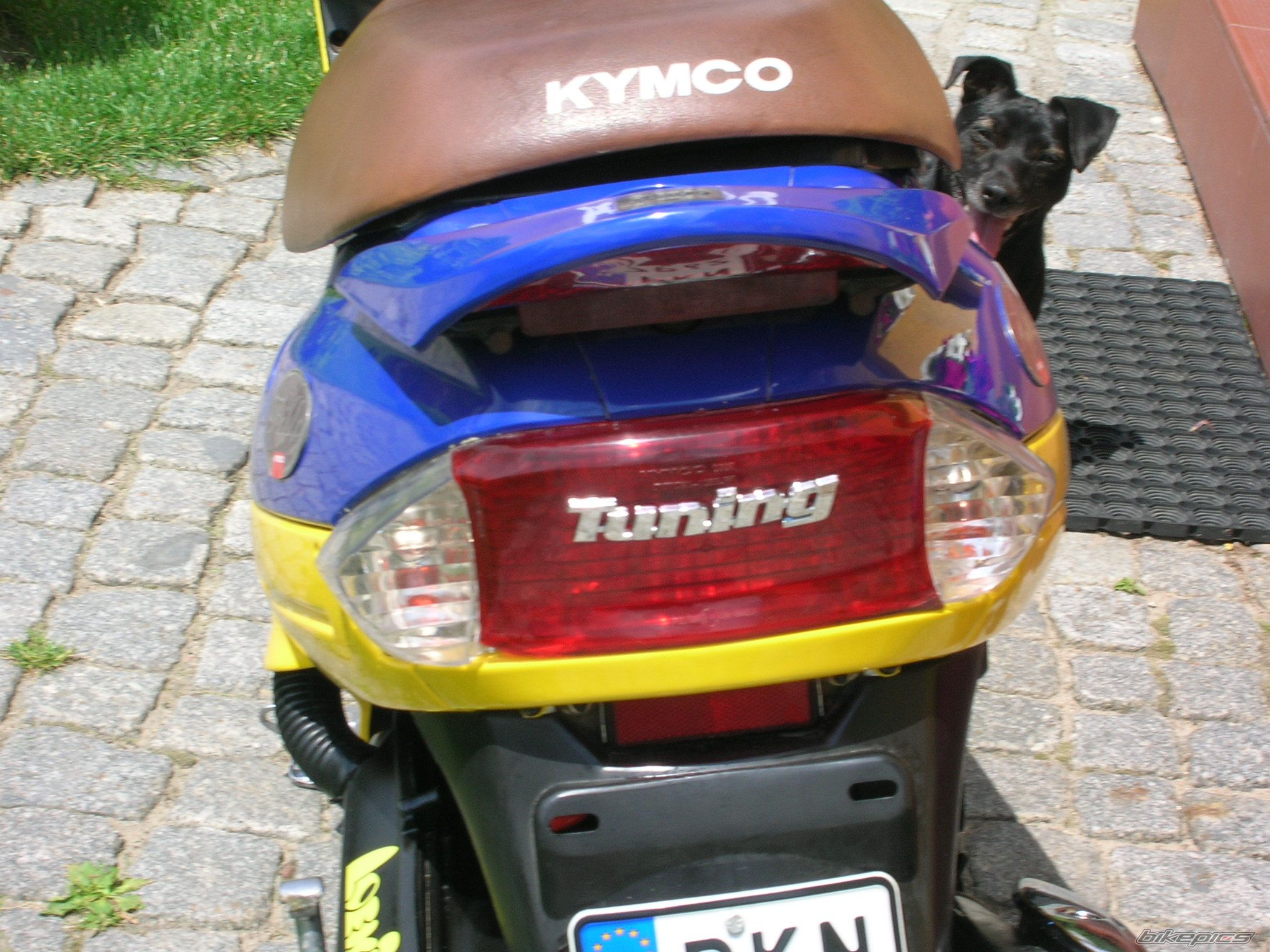 Photo 948033