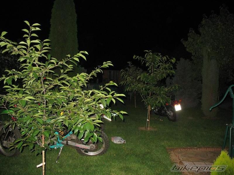 Photo 948062