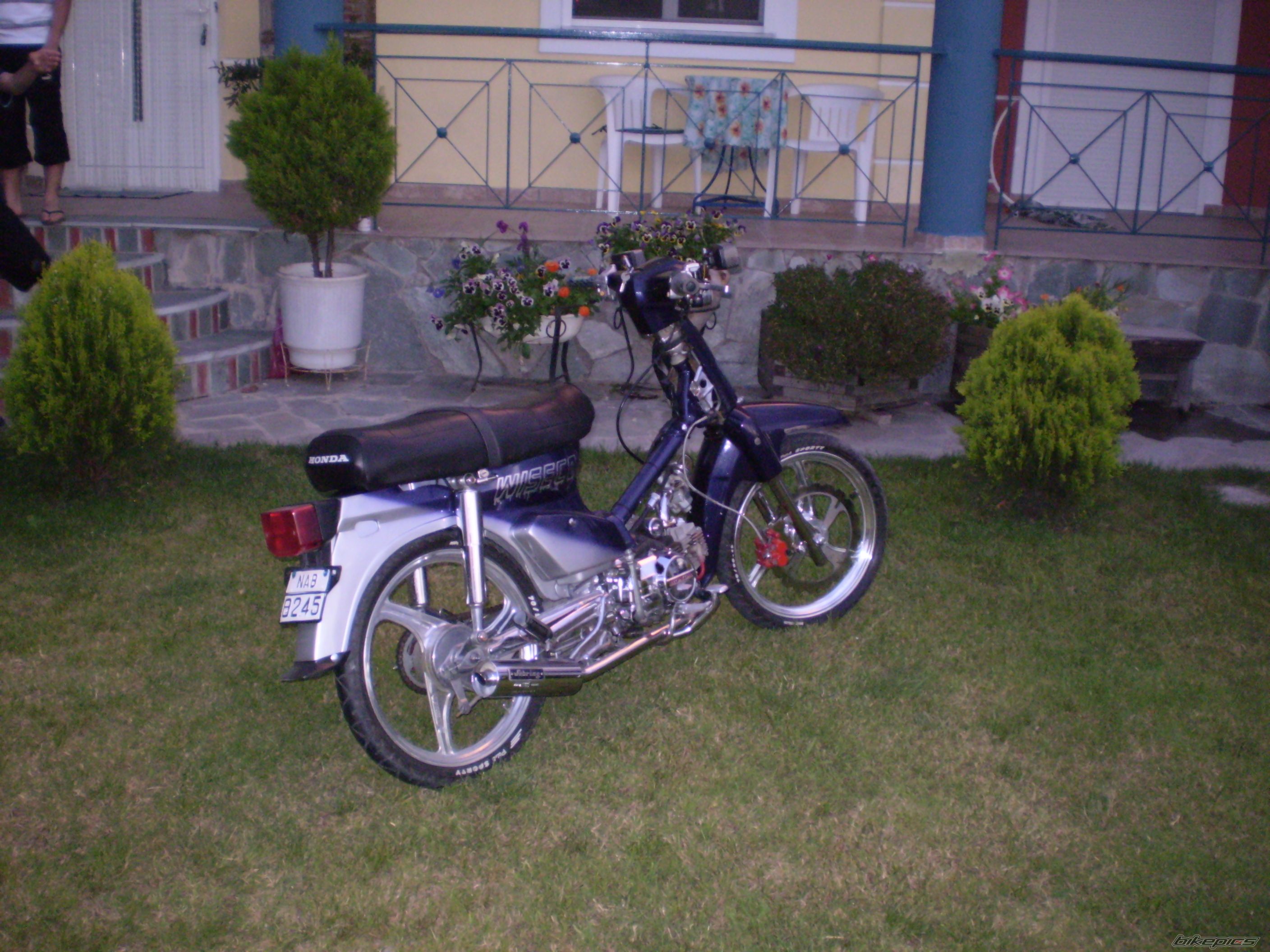 Photo 948080
