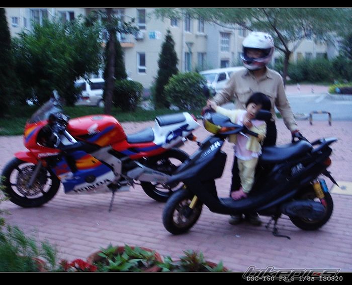 Photo 948311