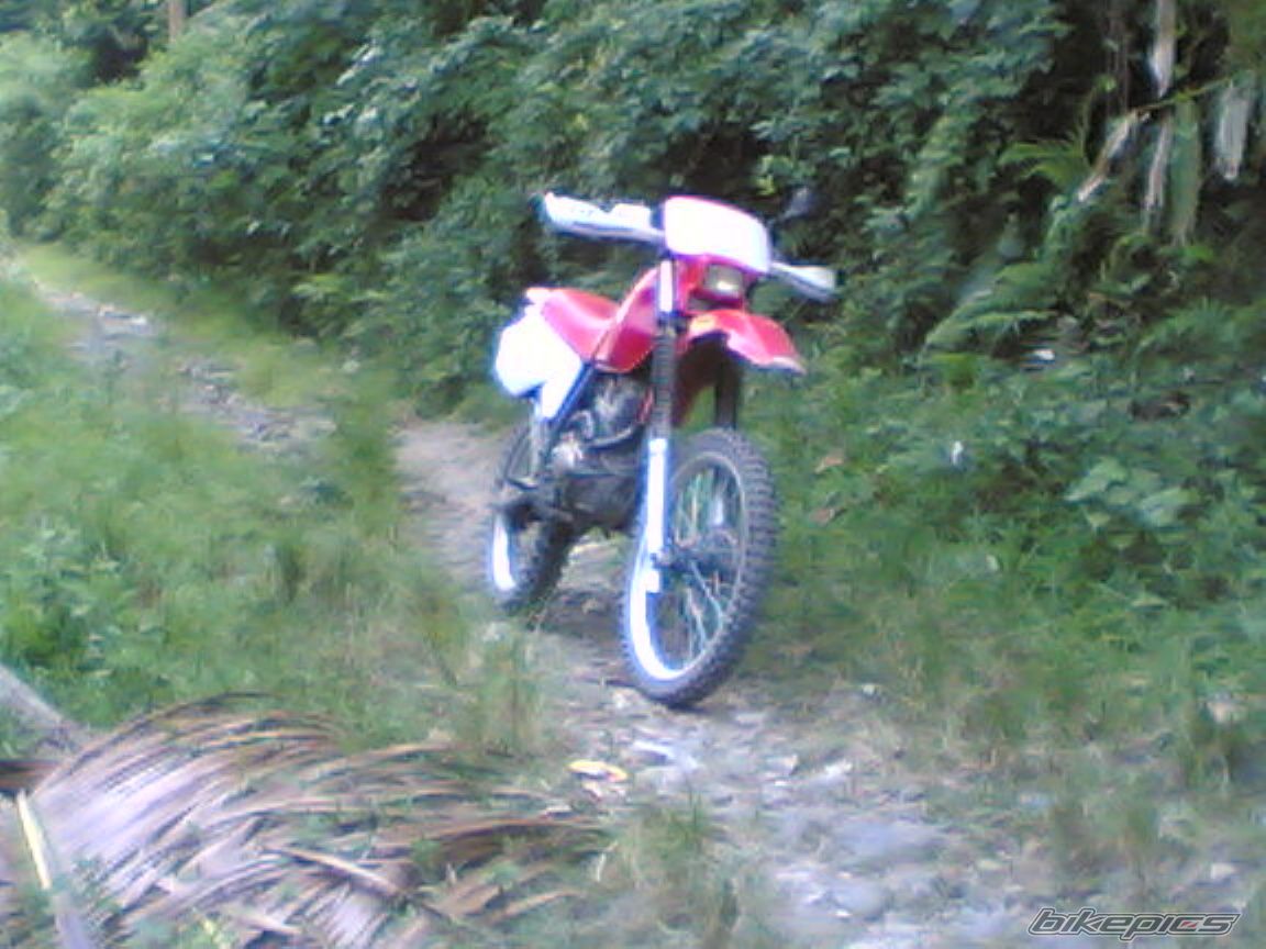 Photo 949011