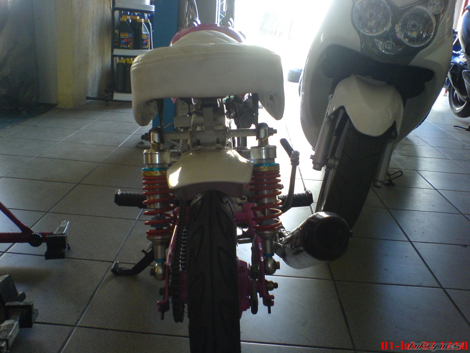 Photo 949450