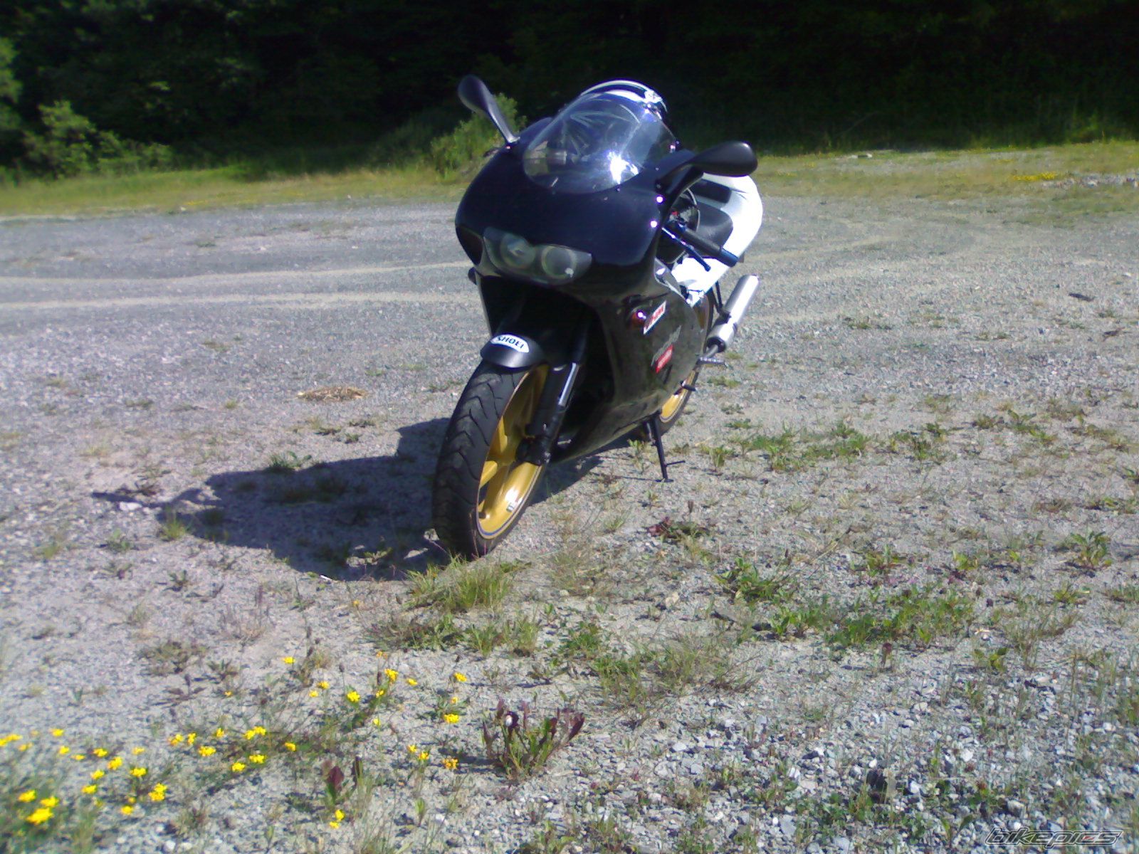Photo 949506