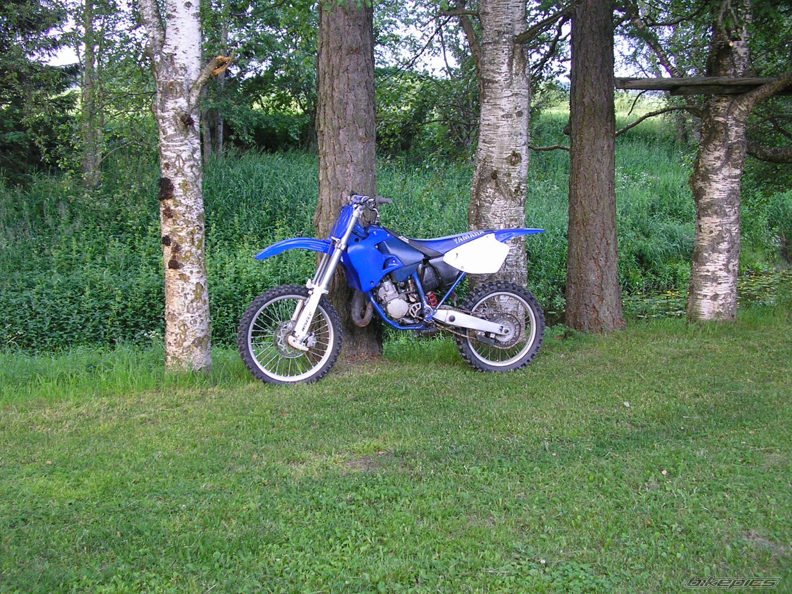 Photo 949564