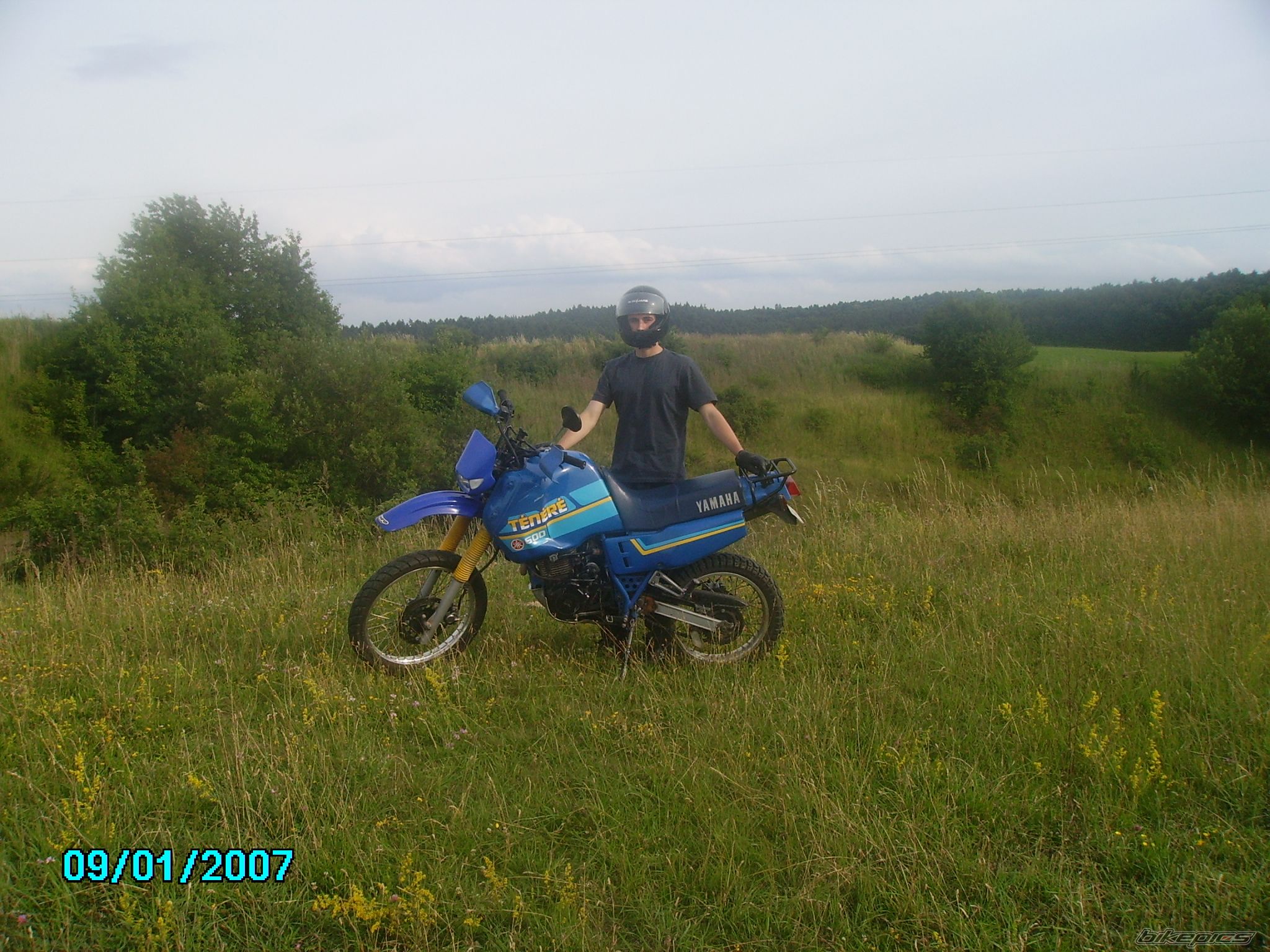 Photo 949601