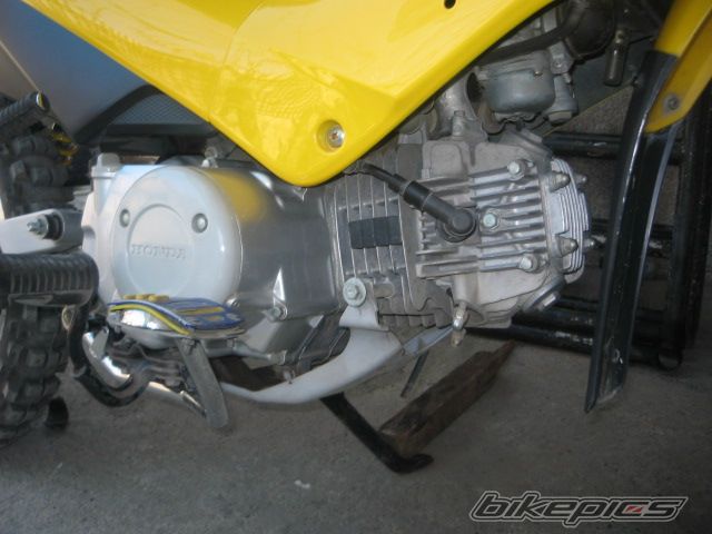 Photo 950015