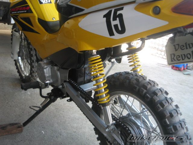 Photo 950018