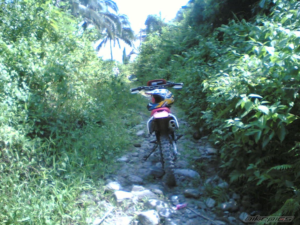 Photo 950030