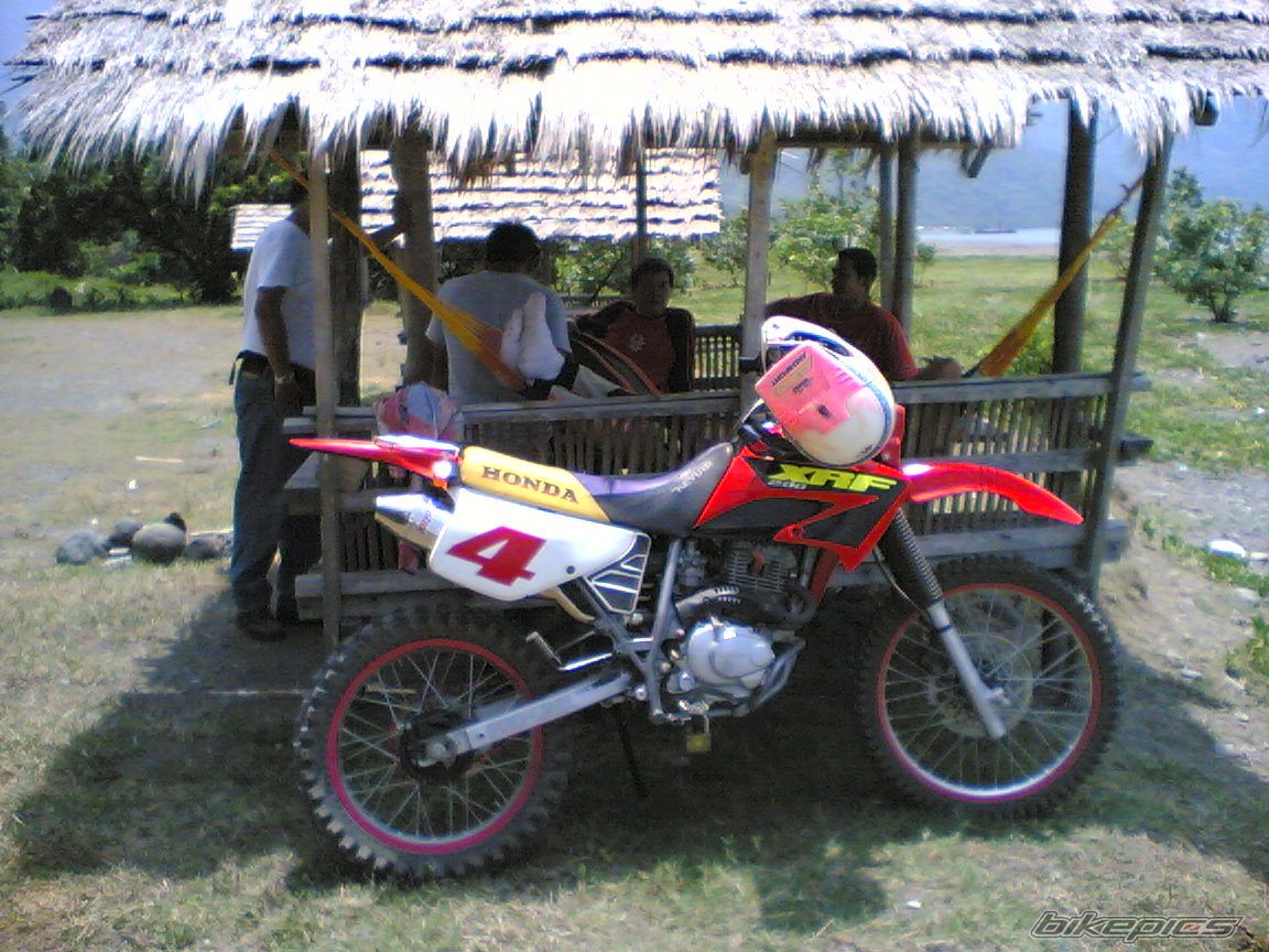 Photo 950031