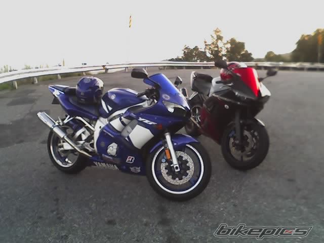 Photo 950039