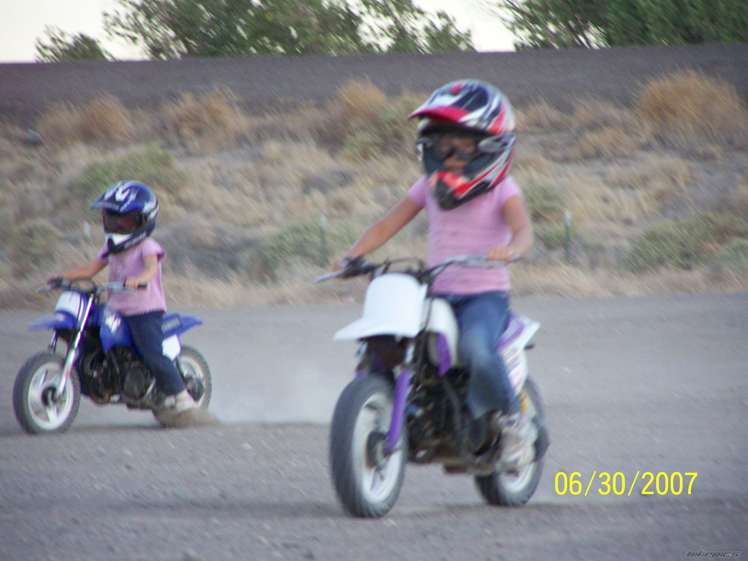 Photo 950040