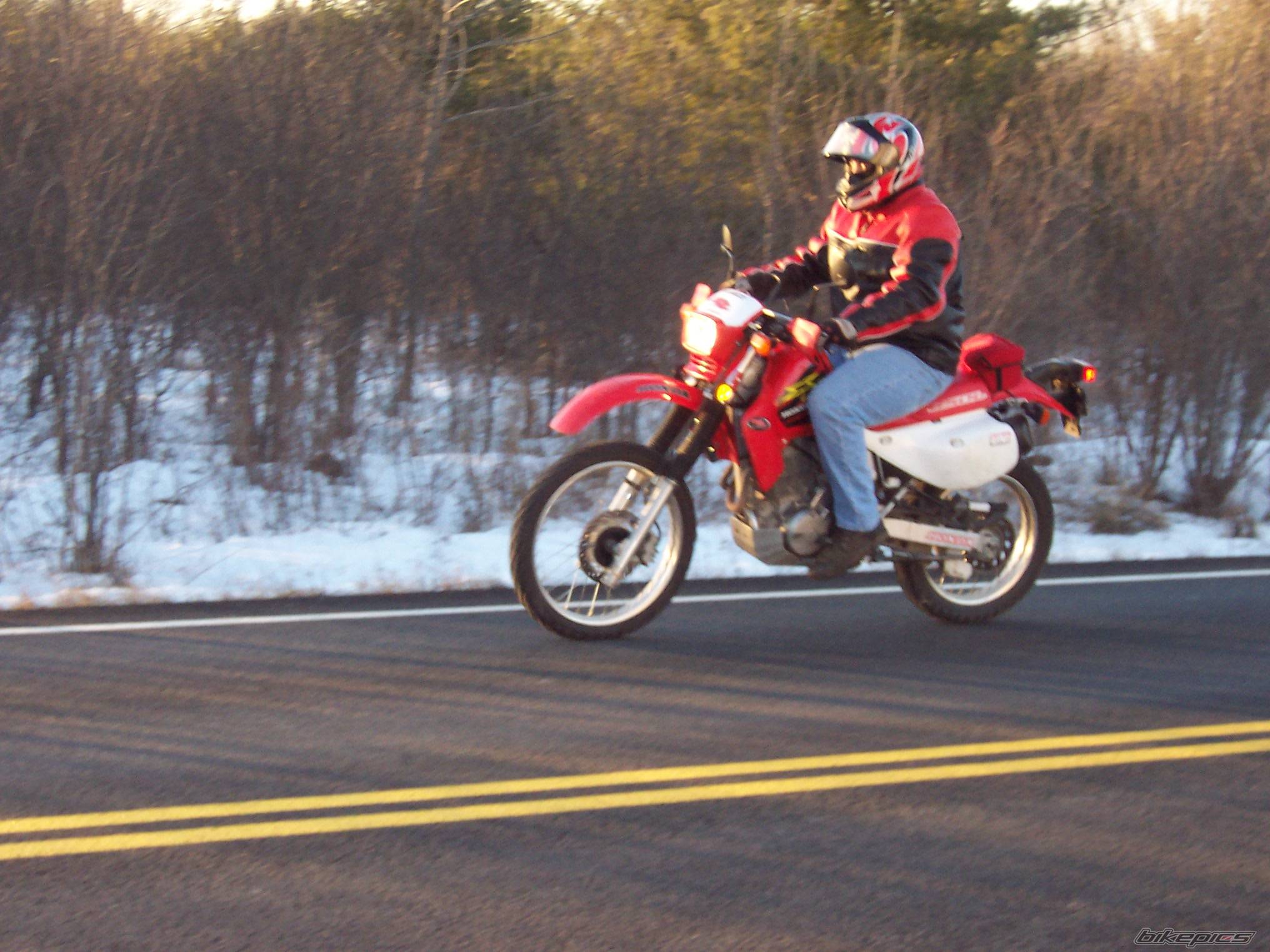 Bike Photo 95015