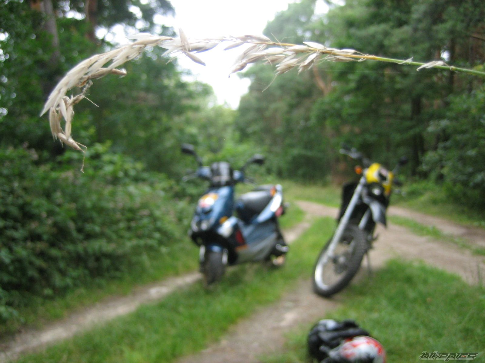 Photo 950371