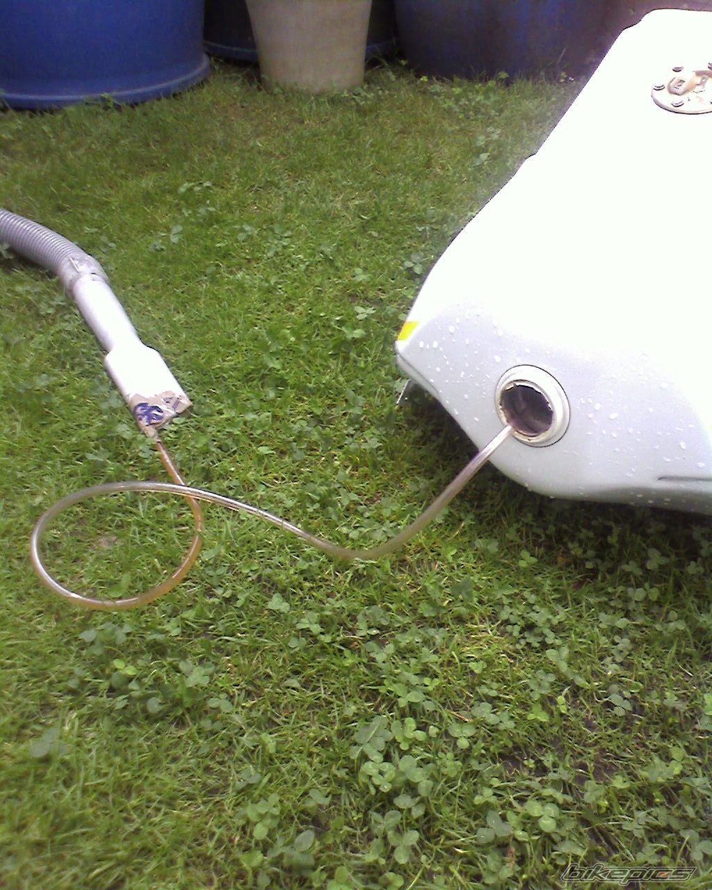 Photo 950381