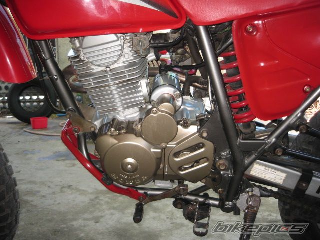 Bike Photo 950383