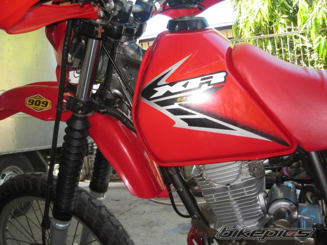 Bike Photo 950385