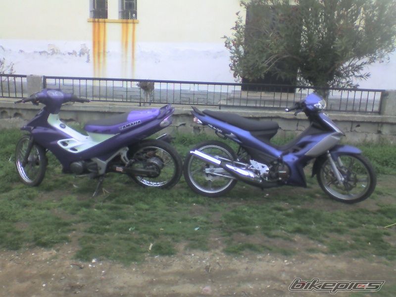 Photo 950490
