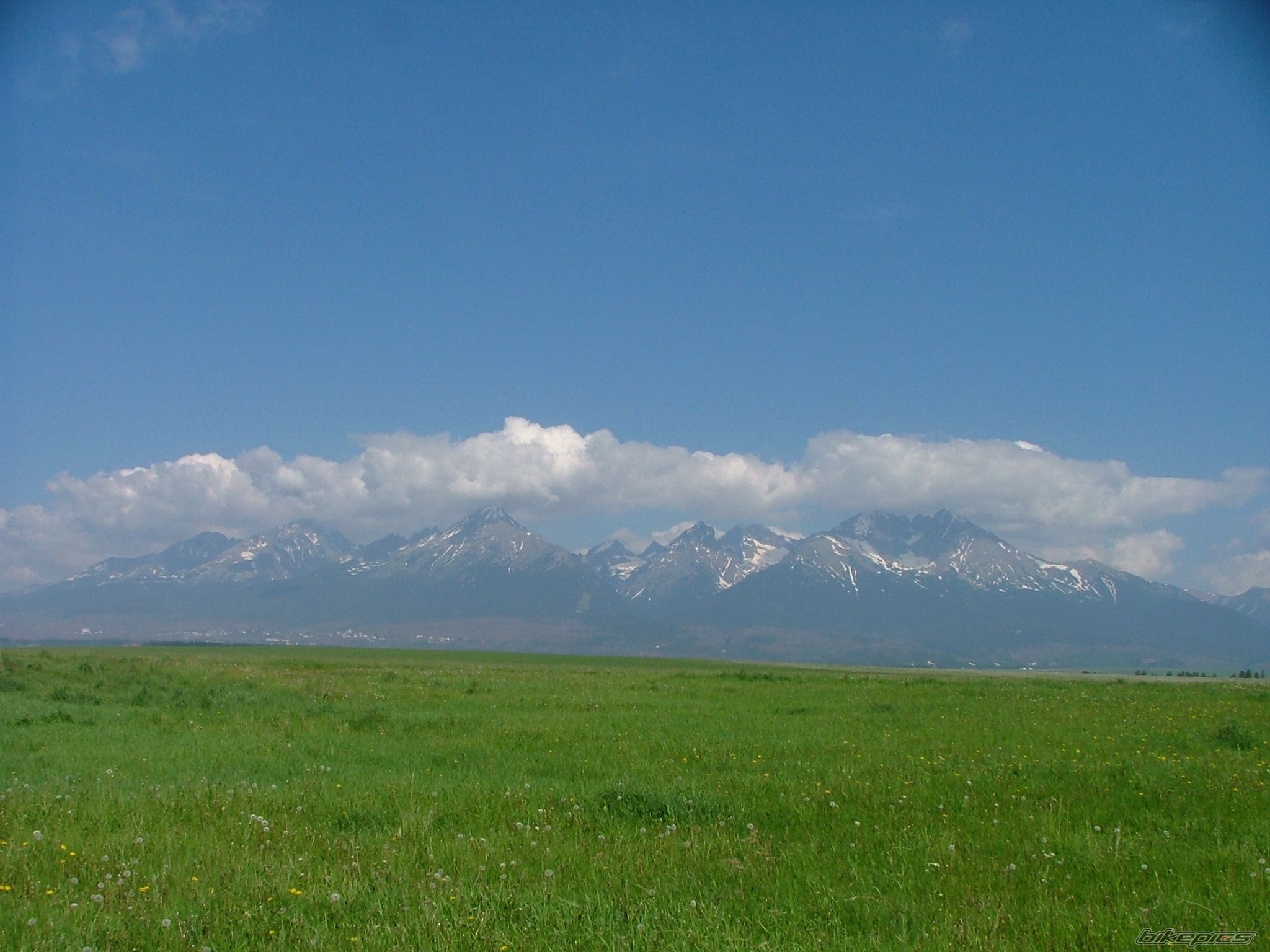Photo 950518