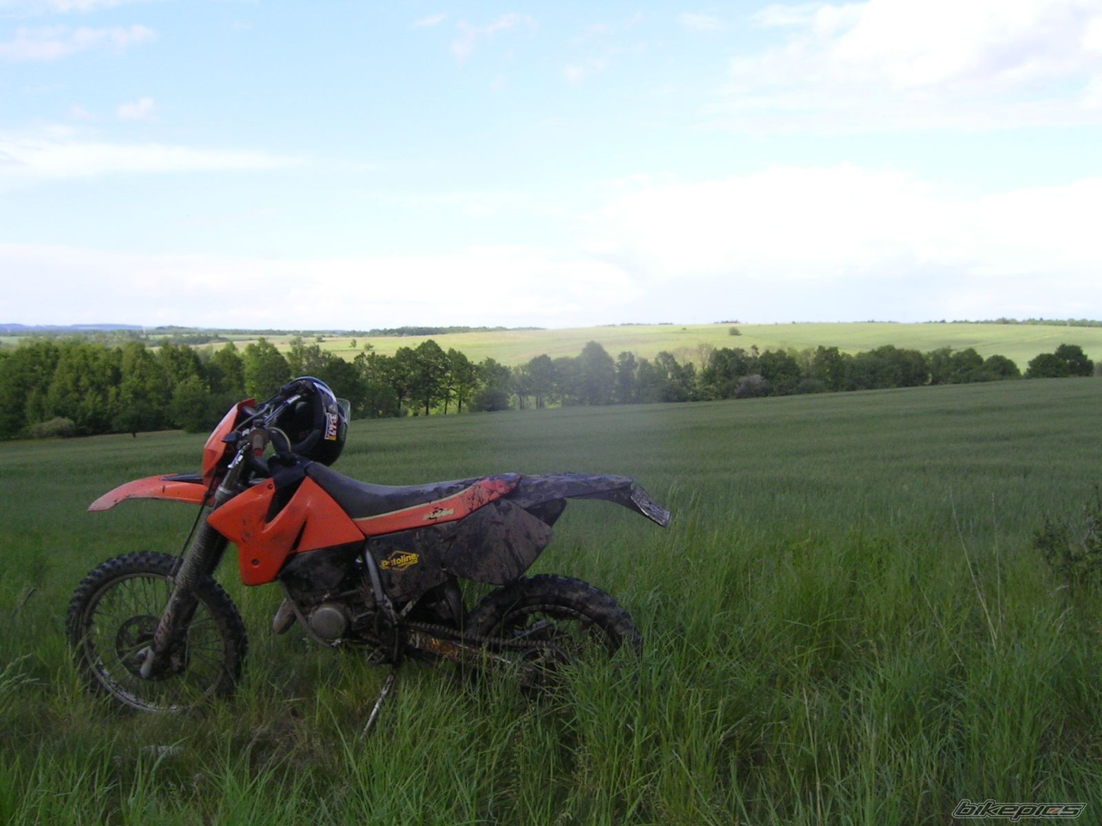 Photo 950689