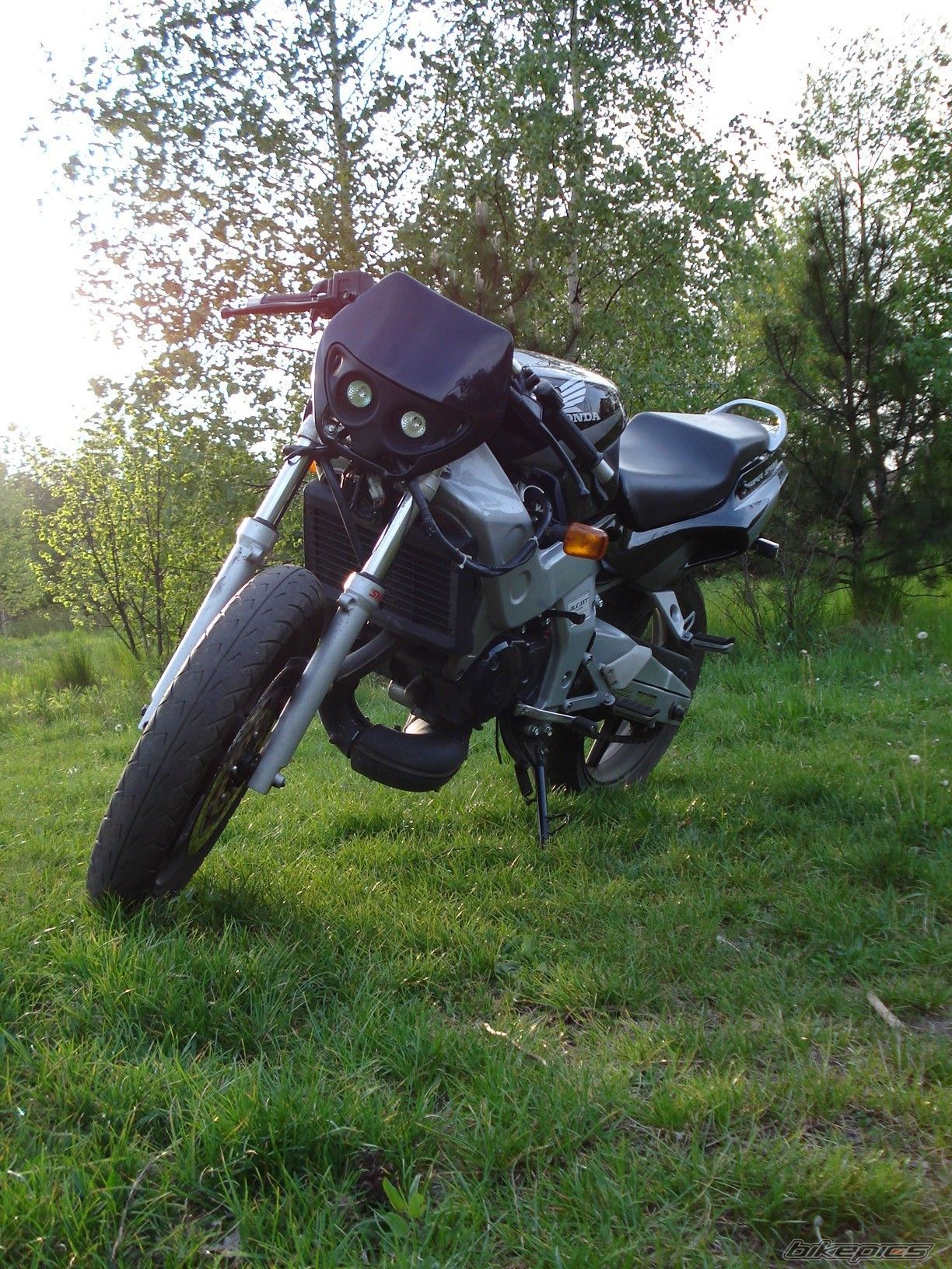 Photo 950877