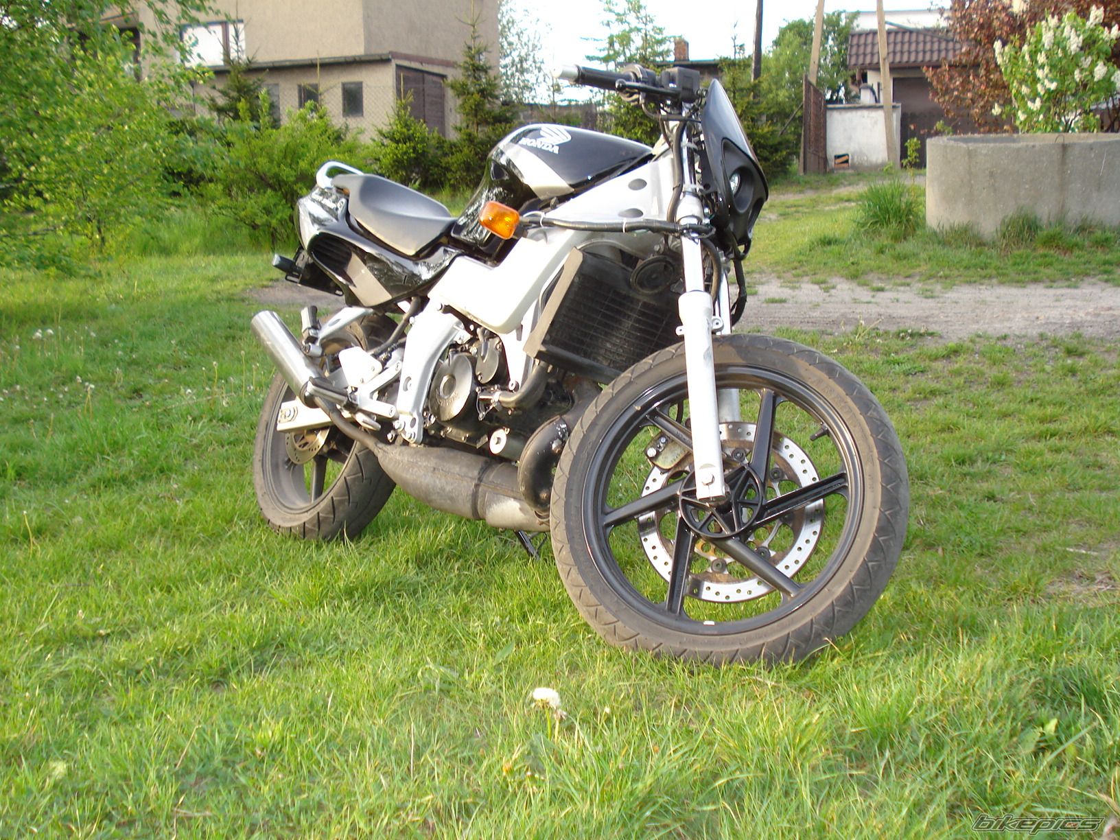 Photo 950879