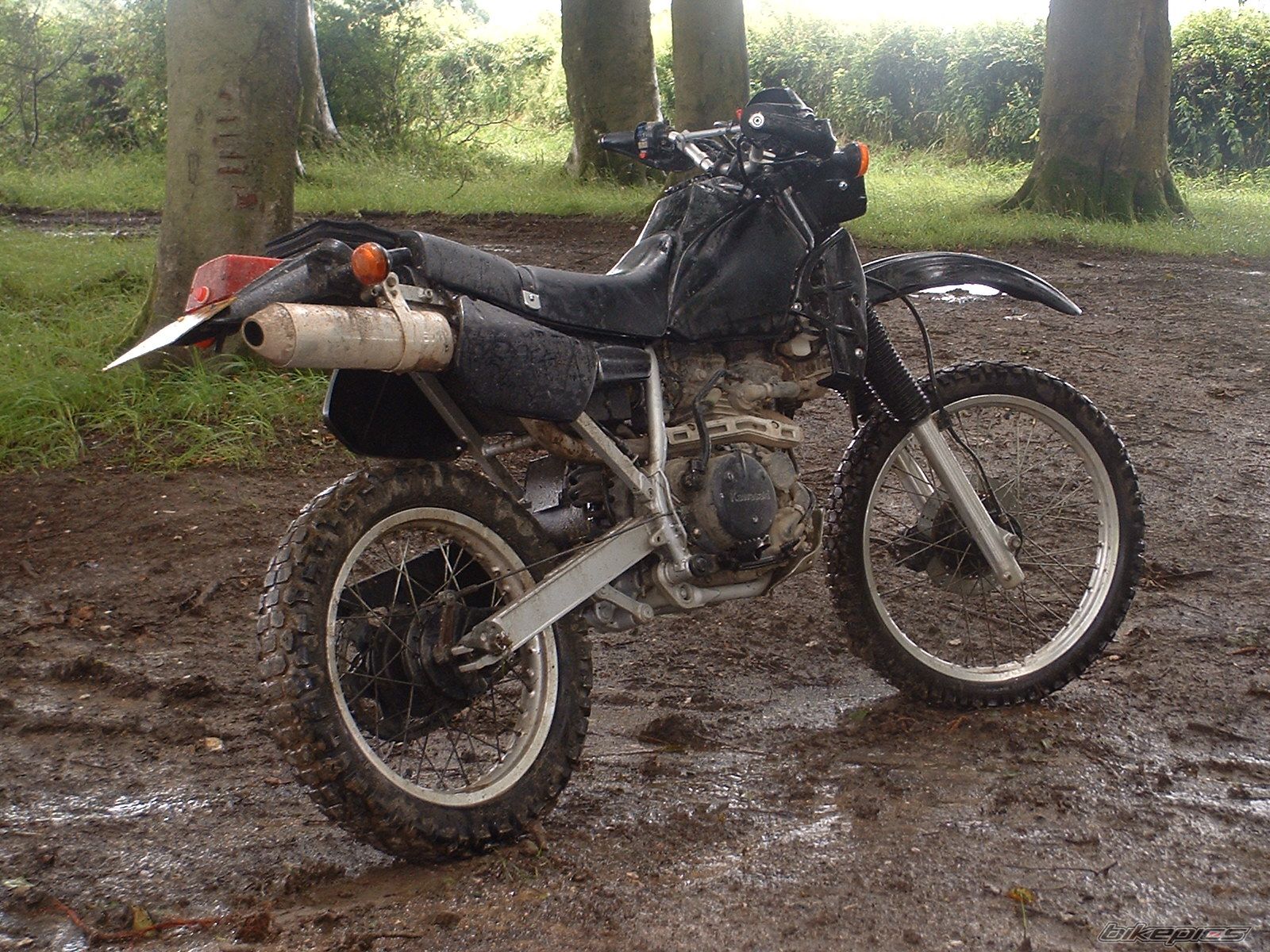 Bike Photo 950890