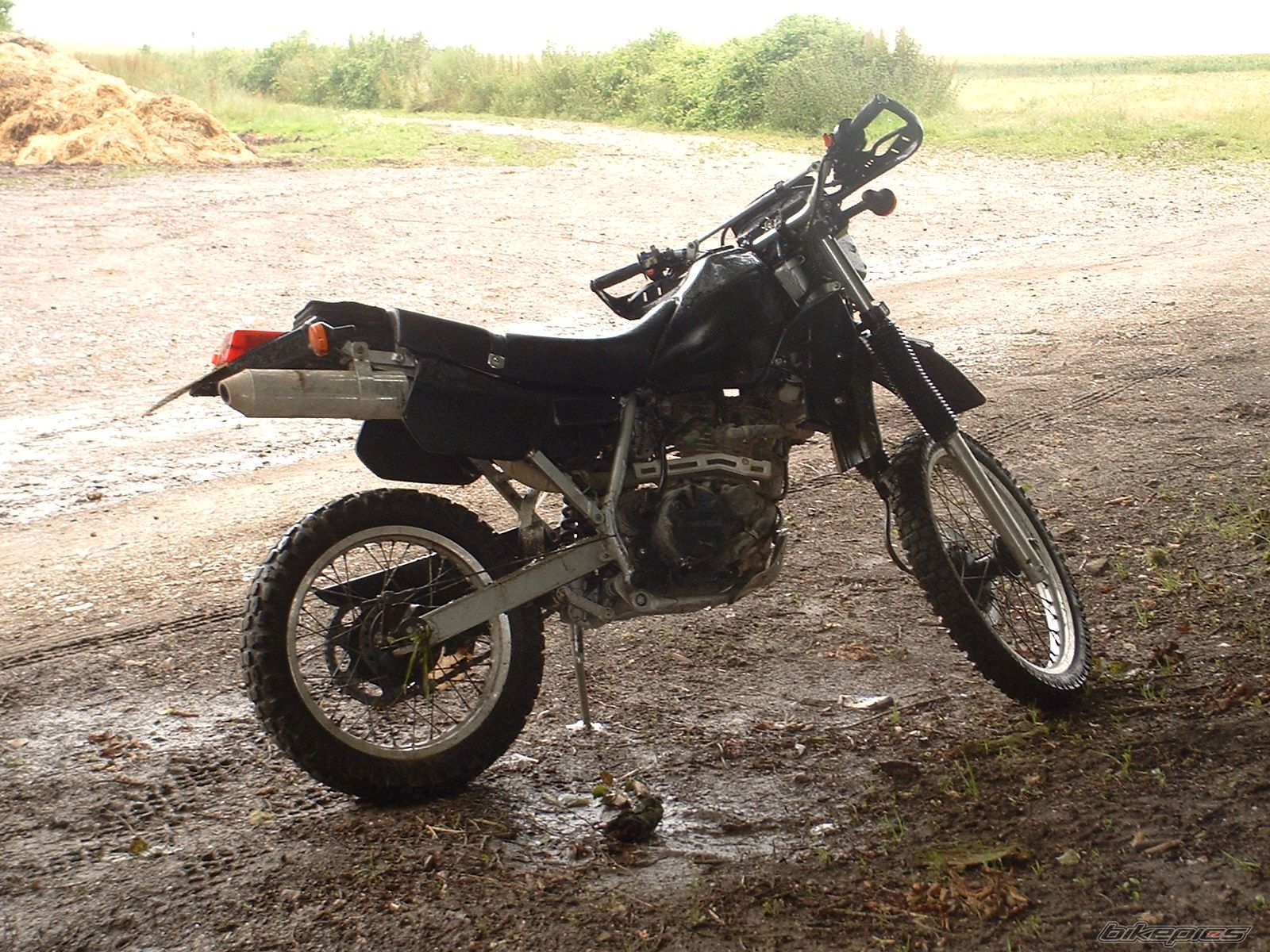 Photo 950892